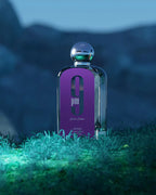 Buy Afnan 9Pm Purple Pour Femme EDP 100Ml in Pakistan