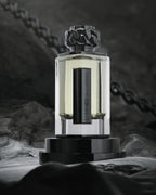 Buy Afnan Lynked Freedom Pour Homme EDP 100ML in Pakistan