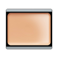 Buy Artdeco Camouflage Cream 21 Desert Rose in Pakistan