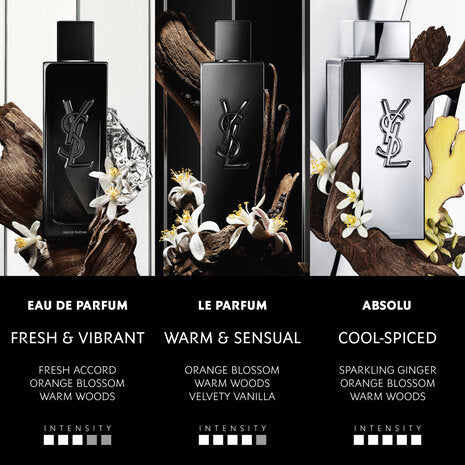 Buy Yves Saint Laurent Men's Myslf EDP Spray 3.3 oz Fragrances in Pakistan