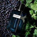 Buy Yves Saint Laurent Y Intense Men Edp 100Ml in Pakistan